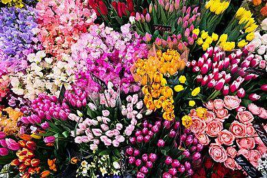 《符文工房：龙之天地》1.0.5版更新 提供多处修复